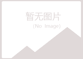 岐山县晓槐培训有限公司